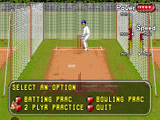 Brian Lara Cricket screenshot 5 for Sega Mega Drive